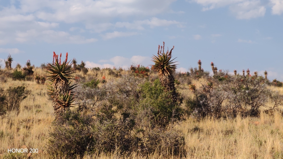 0 Bedroom Property for Sale in Cradock Eastern Cape